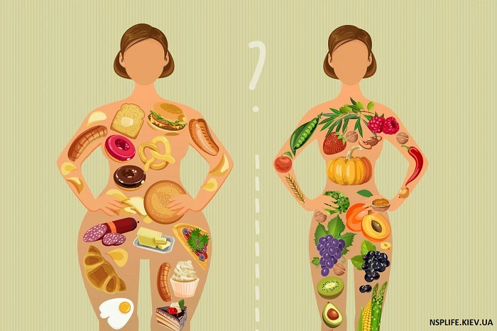 Metabolisme: Mesin Energi Tubuh yang Perlu Dipahami